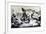 Rome, Combat at Villa Spada Against the French, June 30, 1849, Roman Republic, Italy-null-Framed Giclee Print