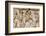 Rome, Italy. Bas relief in the Colosseum of gladiators fighting.-null-Framed Photographic Print