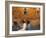 Rome, Italy-Demetrio Carrasco-Framed Photographic Print