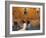 Rome, Italy-Demetrio Carrasco-Framed Photographic Print