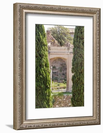 Rome Landscape IV-Laura DeNardo-Framed Photographic Print