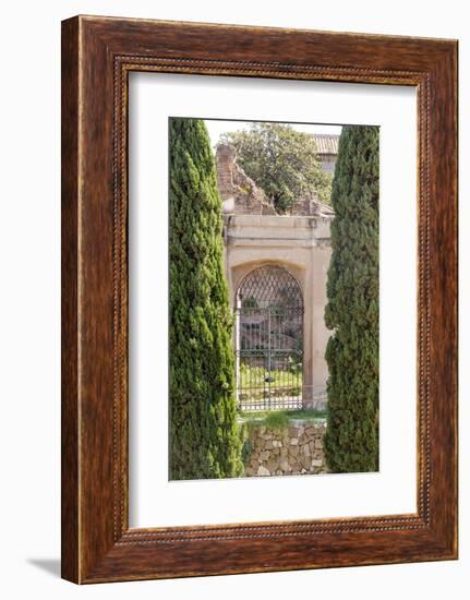 Rome Landscape IV-Laura DeNardo-Framed Photographic Print