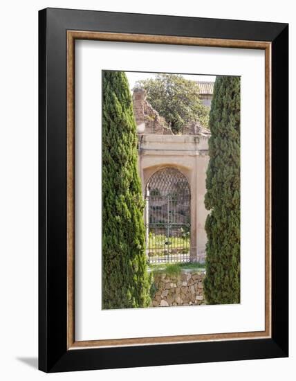 Rome Landscape IV-Laura DeNardo-Framed Photographic Print