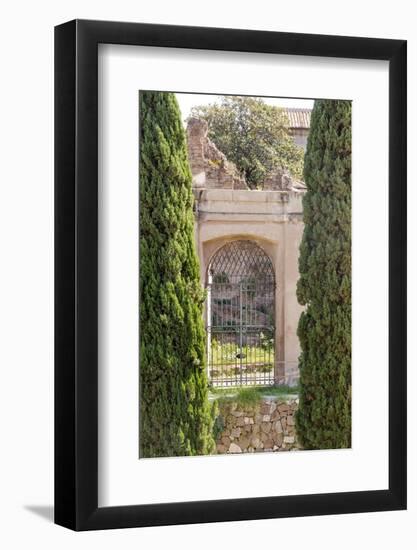 Rome Landscape IV-Laura DeNardo-Framed Photographic Print