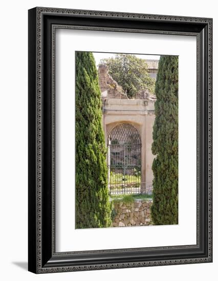 Rome Landscape IV-Laura DeNardo-Framed Photographic Print