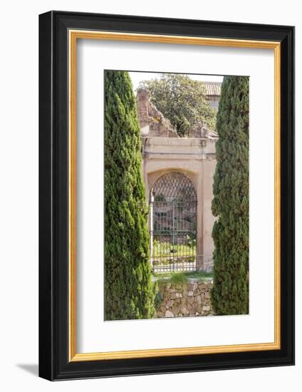 Rome Landscape IV-Laura DeNardo-Framed Photographic Print