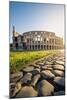 Rome, Lazio, Italy. Colosseum and Via Sacra (Sacred Road) at sunrise.-Marco Bottigelli-Mounted Photographic Print