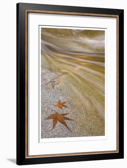 Romero Pools II-Donald Paulson-Framed Giclee Print