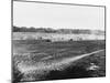 Rommel's Panzer Tanks Making their Way across France During World War Ii-Robert Hunt-Mounted Photographic Print