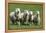 Romney Flock of Sheep, New Zealand-David Noyes-Framed Premier Image Canvas