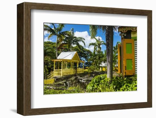 Romney Manor on St. Kitts-Michael Runkel-Framed Photographic Print