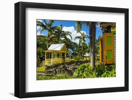 Romney Manor on St. Kitts-Michael Runkel-Framed Photographic Print