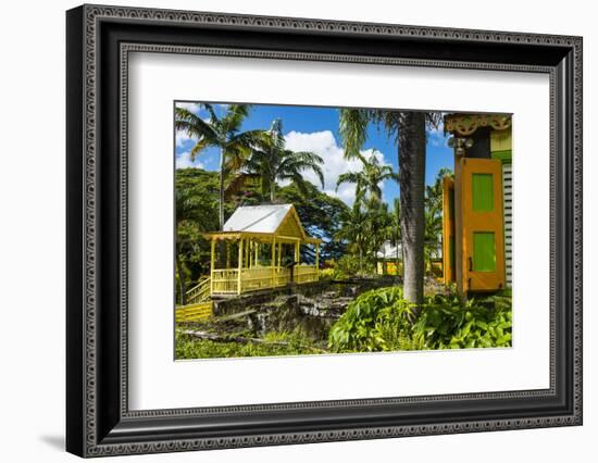 Romney Manor on St. Kitts-Michael Runkel-Framed Photographic Print