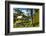 Romney Manor on St. Kitts-Michael Runkel-Framed Photographic Print