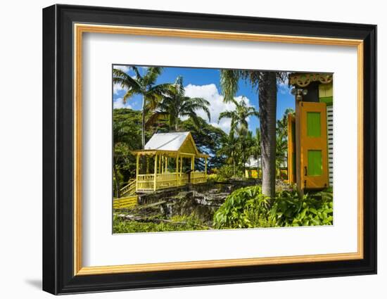 Romney Manor on St. Kitts-Michael Runkel-Framed Photographic Print
