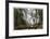Romona Falls I-Donald Paulson-Framed Giclee Print