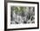 Romona Falls II-Donald Paulson-Framed Giclee Print