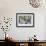 Romona Falls II-Donald Paulson-Framed Giclee Print displayed on a wall