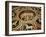 Romulus and Remus in Marble Work in the Duomo Di Sienna, Siena, Tuscany, Italy, Europe-Godong-Framed Photographic Print