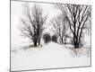 Premium Photographic Print