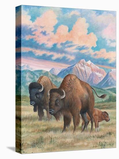 Stretched Canvas Print, , large