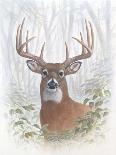 Deer Buck Portrait-Ron Jenkins-Framed Art Print