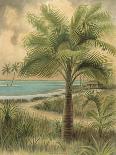 Island Palm II-Ron Jenkins-Framed Art Print