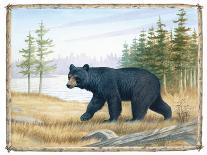 The Majestic Bear-Ron Jenkins-Art Print
