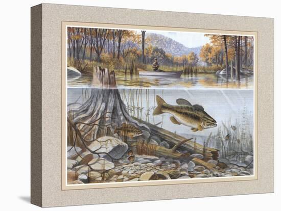 Stretched Canvas Print, , large