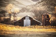 Scenic View In Joshua Tree National Park-Ron Koeberer-Photographic Print