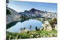 Photographic Print