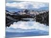 Photographic Print