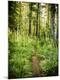 Photographic Print