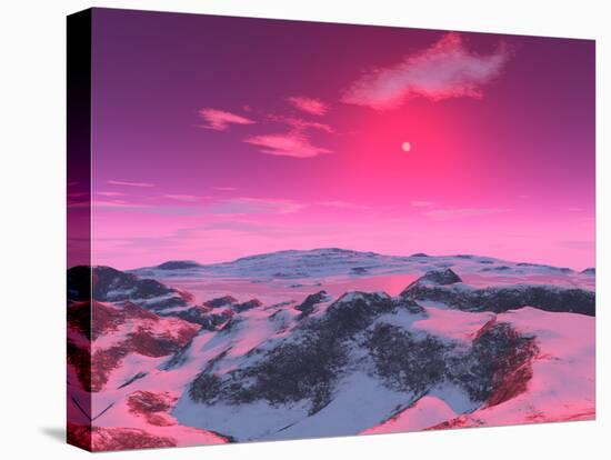 Stretched Canvas Print, , large