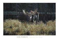 Dawn Flight-Ron Parker-Art Print