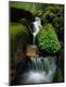 Premium Photographic Print