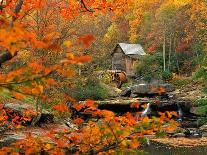 Stream in Lush Forest-Ron Watts-Photographic Print