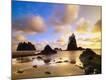 Photographic Print