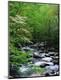 Premium Photographic Print