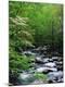 Premium Photographic Print