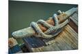 Premium Photographic Print