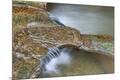 Premium Photographic Print