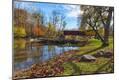 Photographic Print