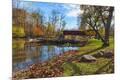 Photographic Print