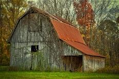 USA, Indiana. Rural Landscape, Vine Covered Barn with Red Roof-Rona Schwarz-Photographic Print