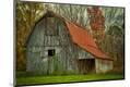 Photographic Print