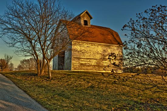 Photographic Print, , large