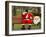 Ronald Guzman, Who Works as Santa Claus, Takes a Break in a Public Park in Lima, Peru-null-Framed Photographic Print