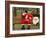 Ronald Guzman, Who Works as Santa Claus, Takes a Break in a Public Park in Lima, Peru-null-Framed Photographic Print