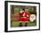 Ronald Guzman, Who Works as Santa Claus, Takes a Break in a Public Park in Lima, Peru-null-Framed Photographic Print